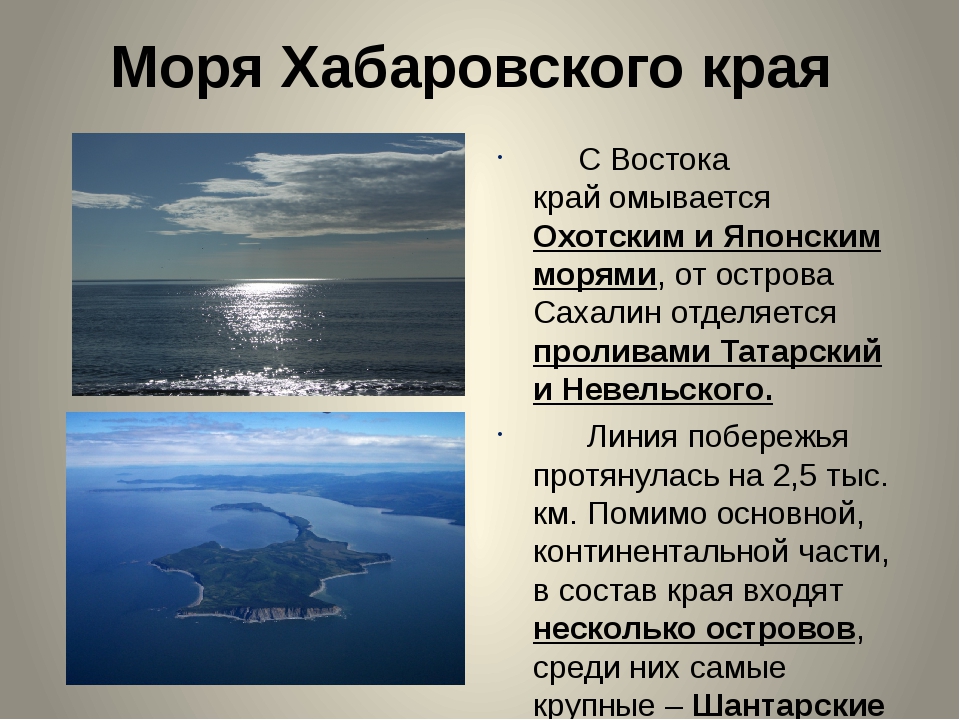 7 морей какие. Хабаровский край море. Моря омывающие Хабаровский край. Хабаровск какое море омывает. Какое море в Хабаровске.