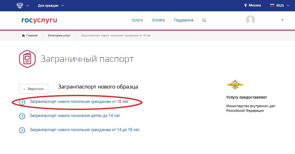 Как правильно заполнить анкету на загранпаспорт на госуслугах старого образца